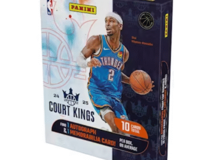 2024/25 Panini Court Kings Basketball Hobby 16 Box Case